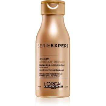 L’Oréal Professionnel Serie Expert Absolut Repair Lipidium vyživujúci šampón pre veľmi poškodené vlasy 100 ml