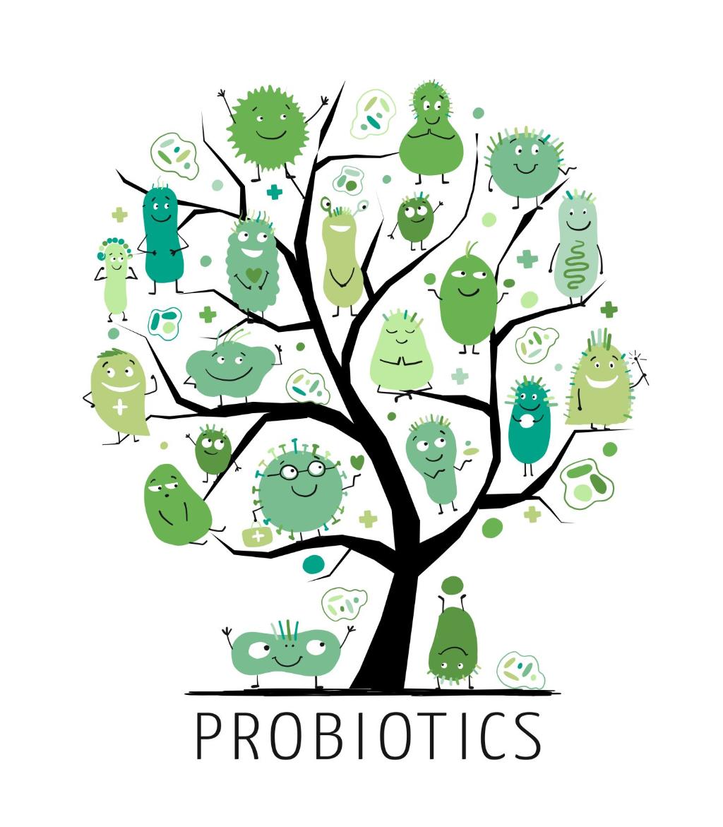 probiotika